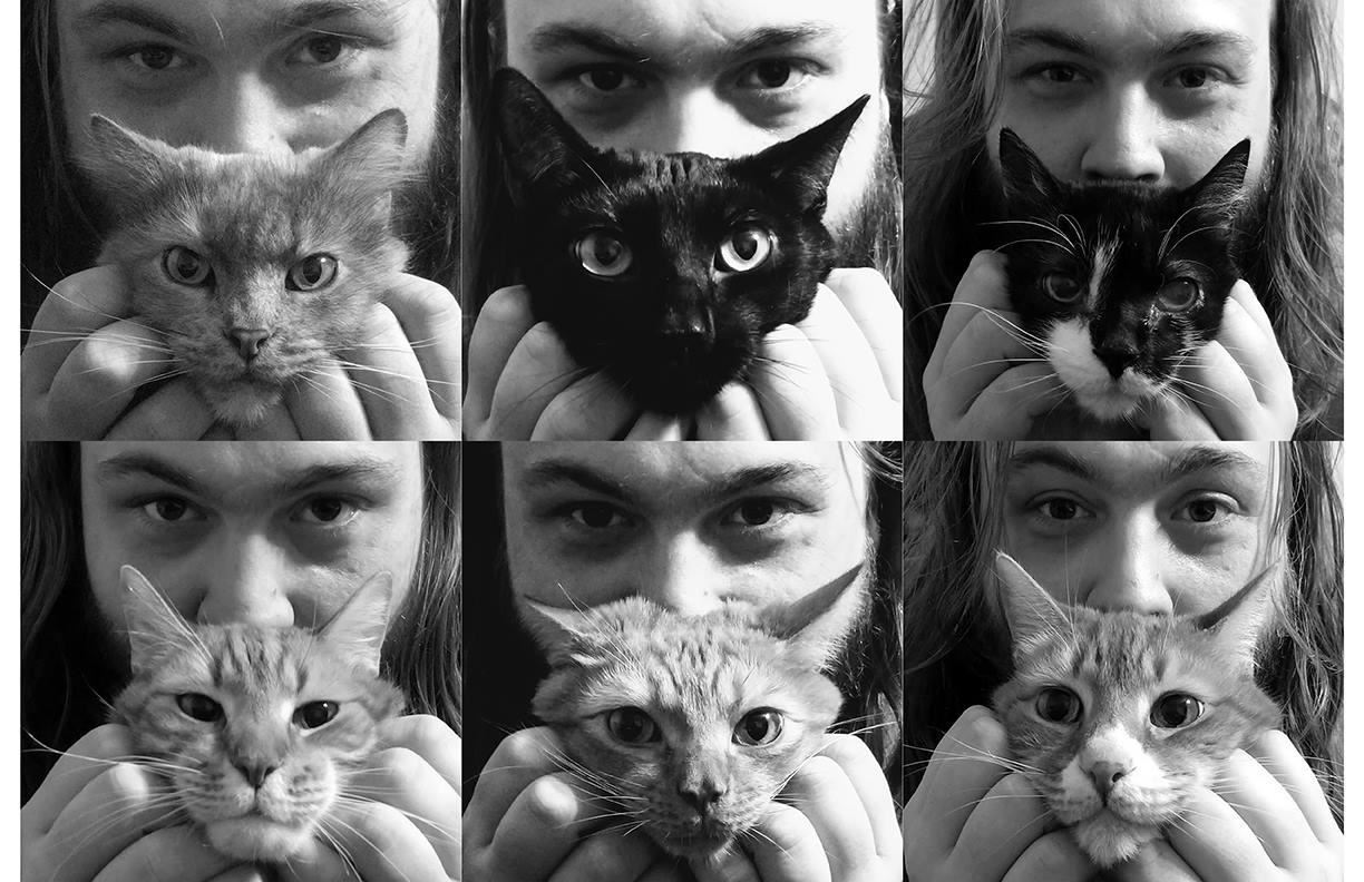 Meow 
