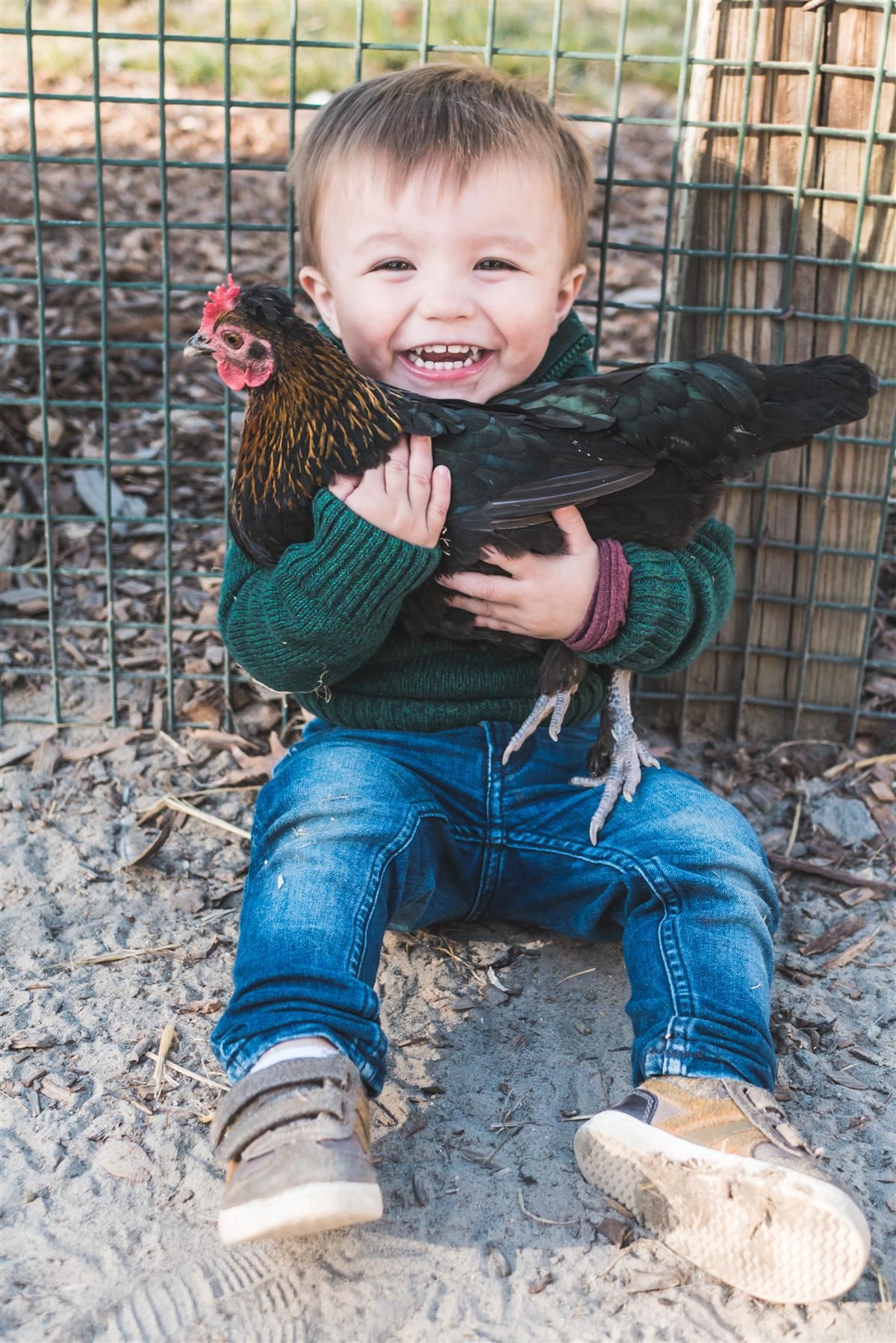 Chicken boy